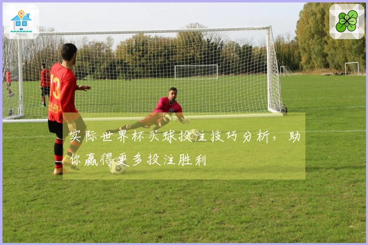 实际世界杯买球投注技巧分析，助你赢得更多投注胜利