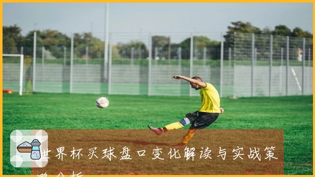 世界杯买球盘口变化解读与实战策略分析
