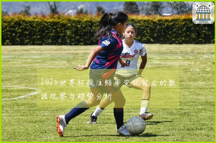 2026世界杯投注赔率变化背后的数据观察与趋势分析