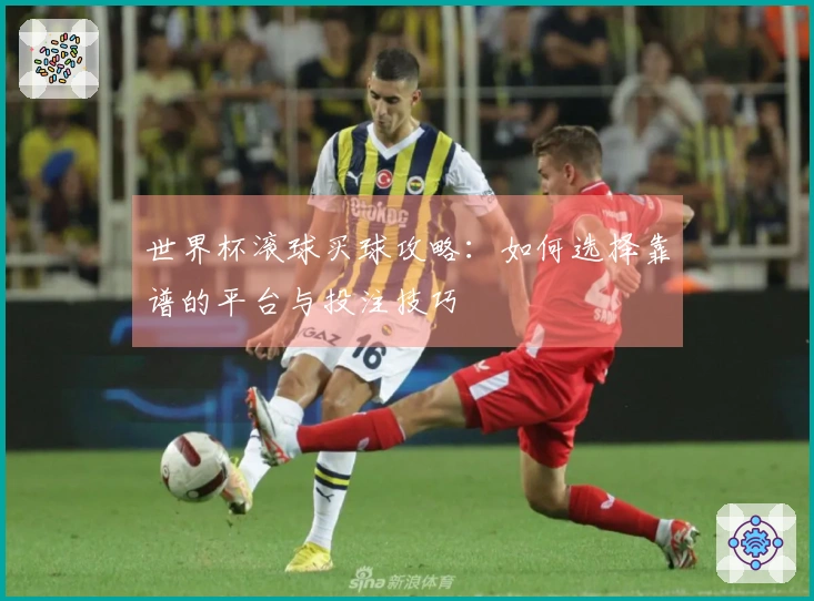 世界杯滚球买球攻略：如何选择靠谱的平台与投注技巧